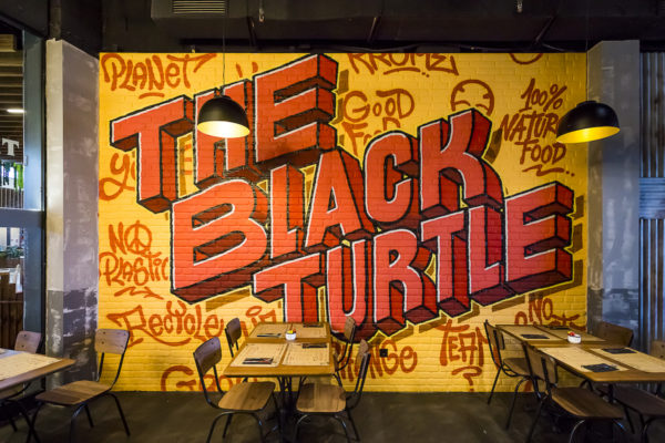 Parque Principado The Black Turtle 013